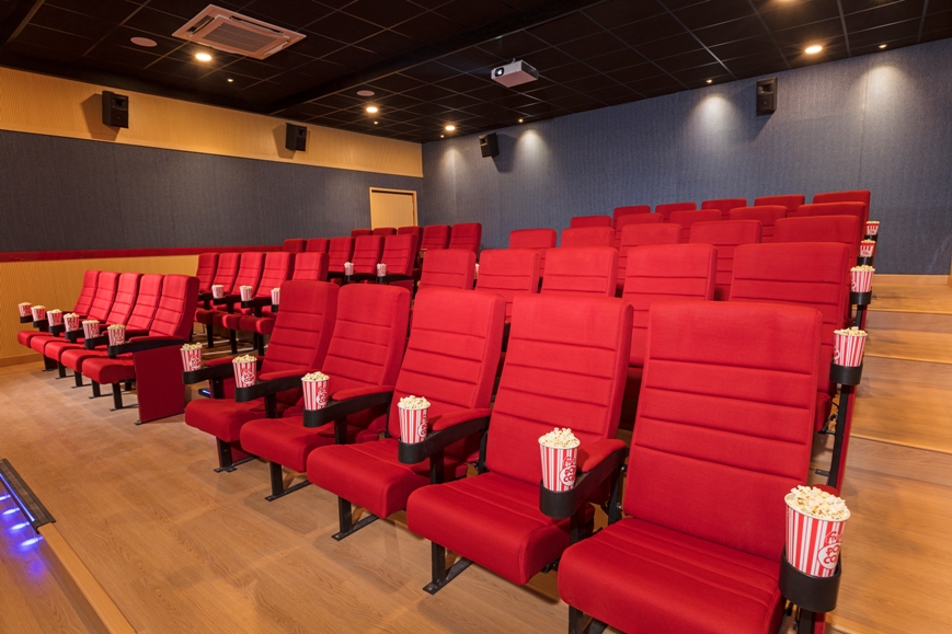 Executive Screening Auditorium with Crimson Tiered Cinema Seats and Hardwood Floors
